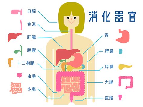 斗南沈胃腸科營業時間|消化器内科 